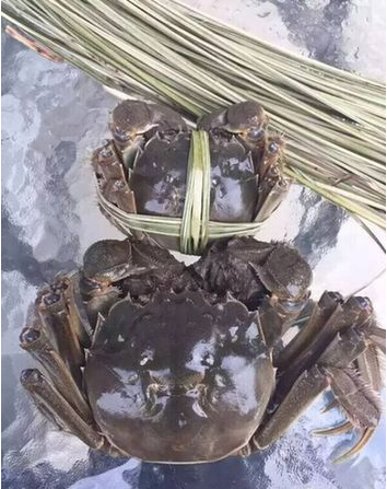 �������񲶵���з���� �ؽ�һ�� з�ǿ�11����