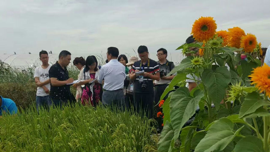 webwxgetmsgimg (13).jpg